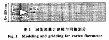 渦街流量計建模與網(wǎng)格劃分
